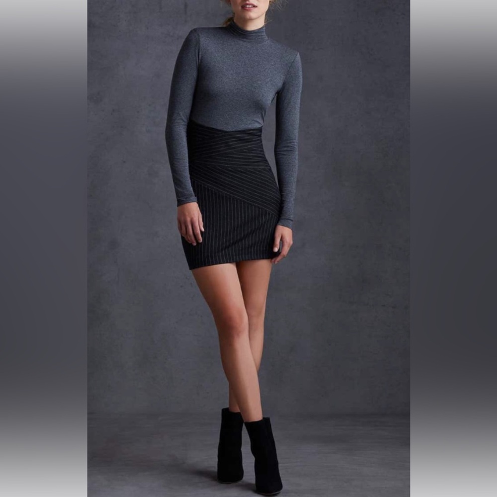 Bailey 44 Gray and Black Mini Dress